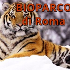bioparco roma
